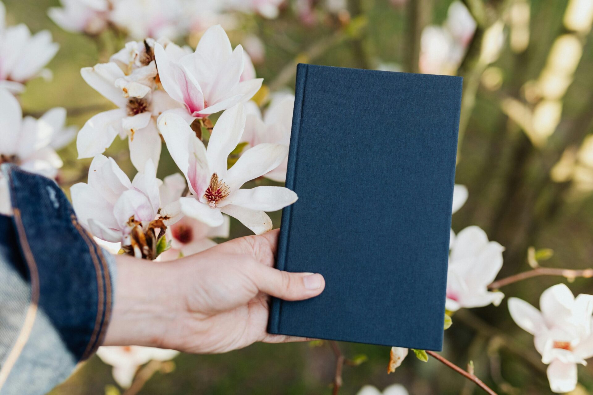 Mano sosteniendo un libro azul frente a flores de magnolia